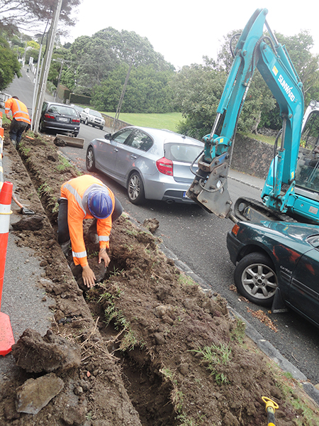 星际官网注册挖掘机畅销新西兰