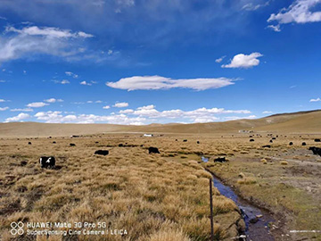 心系星际官网注册情，追梦阿里行！