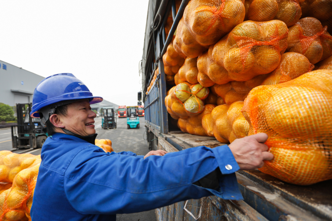 点赞！星际官网注册智能成功入选“上市公司乡村振兴优秀实践案例”