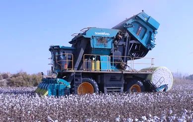 科技赋能农业强国建设！星际官网注册智能这个人工智能项目入选《湖南省“数字新基建”100个标志性项目名单》